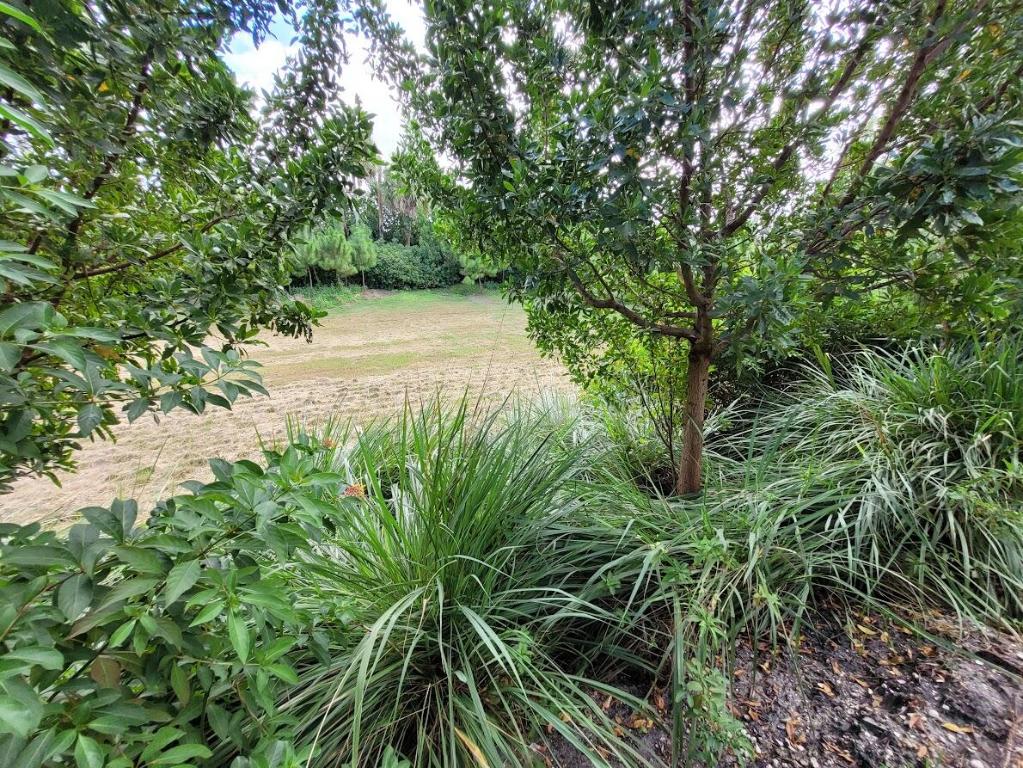 Pointe of Woods - Residential Lease