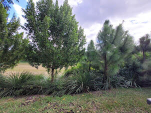 Pointe of Woods - Residential Lease