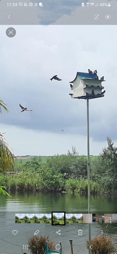 A home in Deerfield Beach