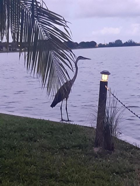 A home in Deerfield Beach