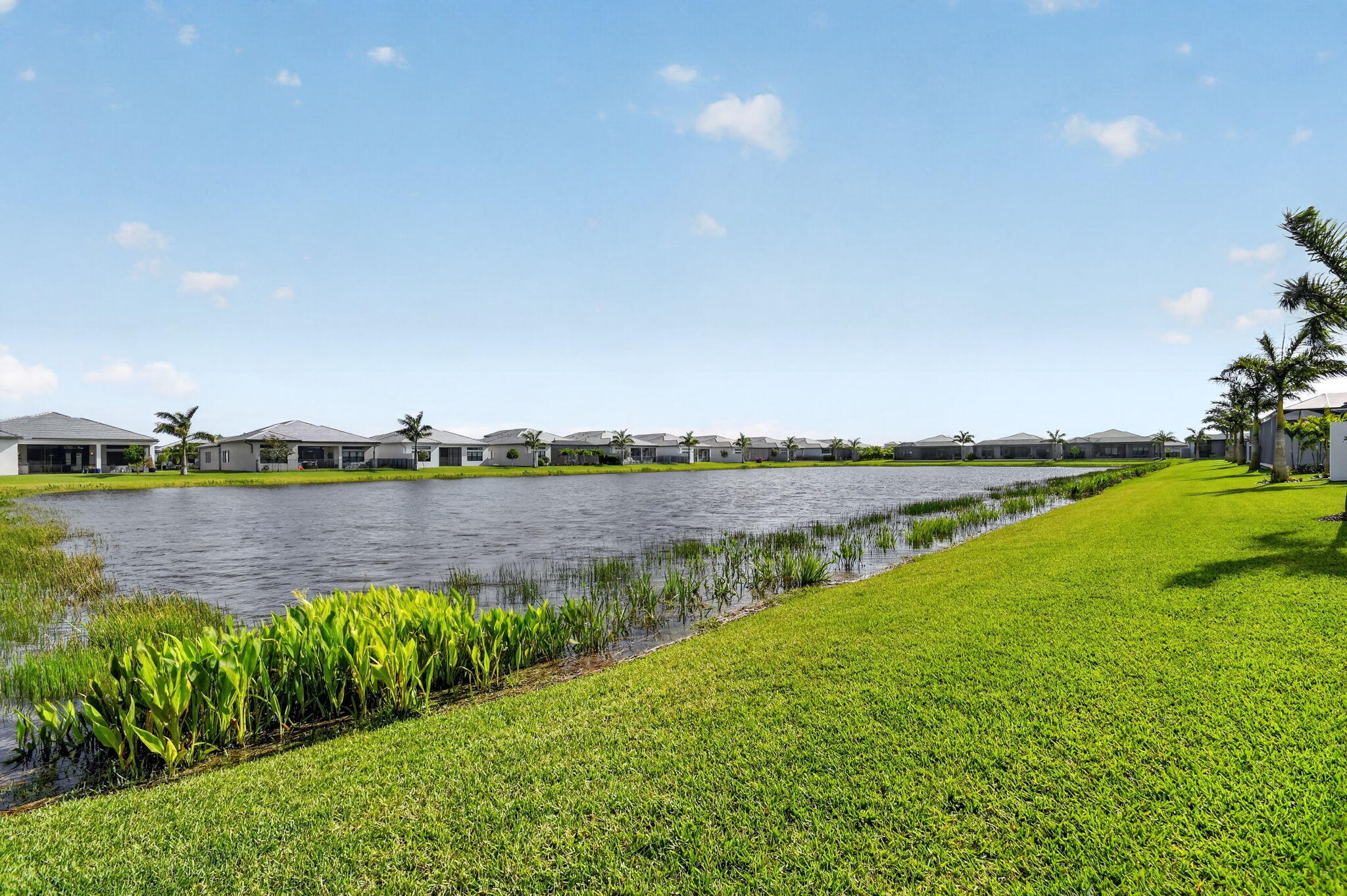 Valencia Grand - Residential