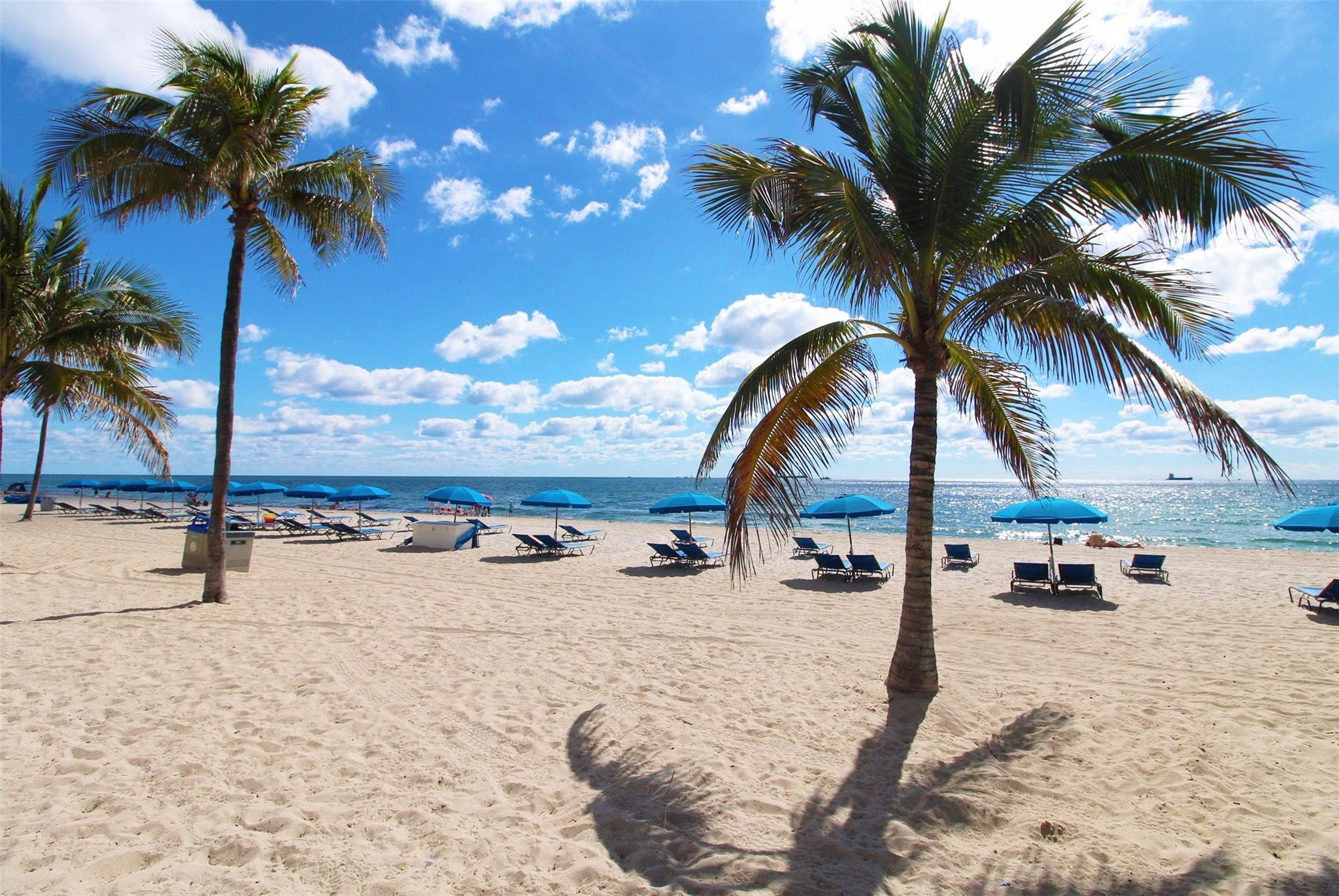 Breakers Seville Co-Op - Residential Lease