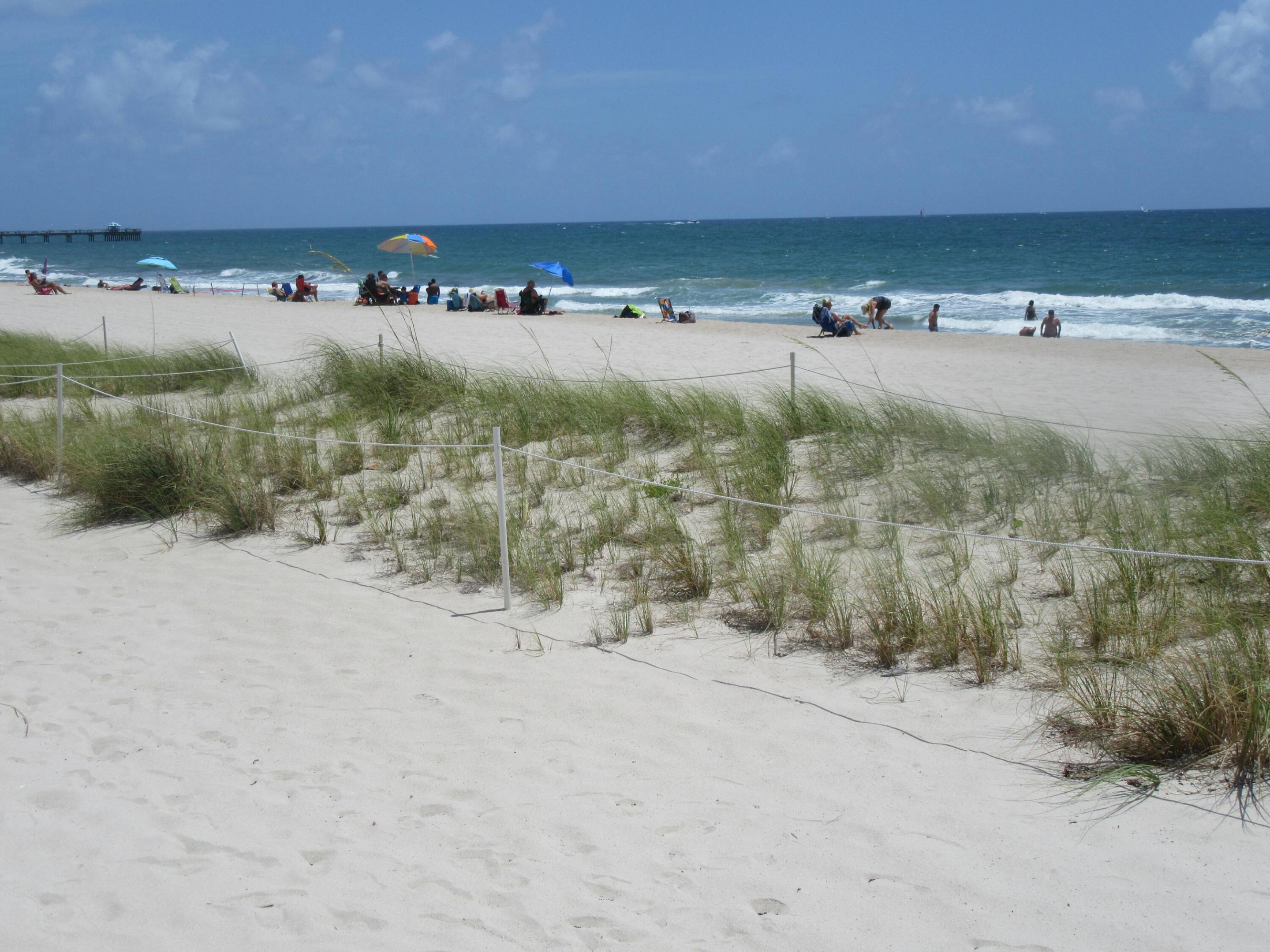 4050 N Ocean Drive 1509
