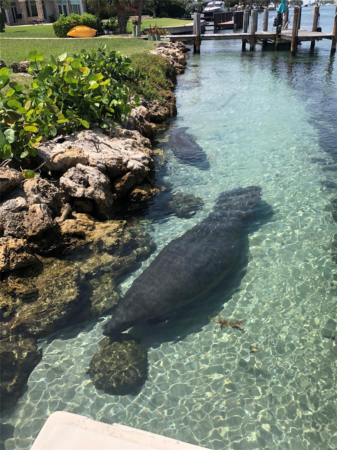 Caps Island - Residential