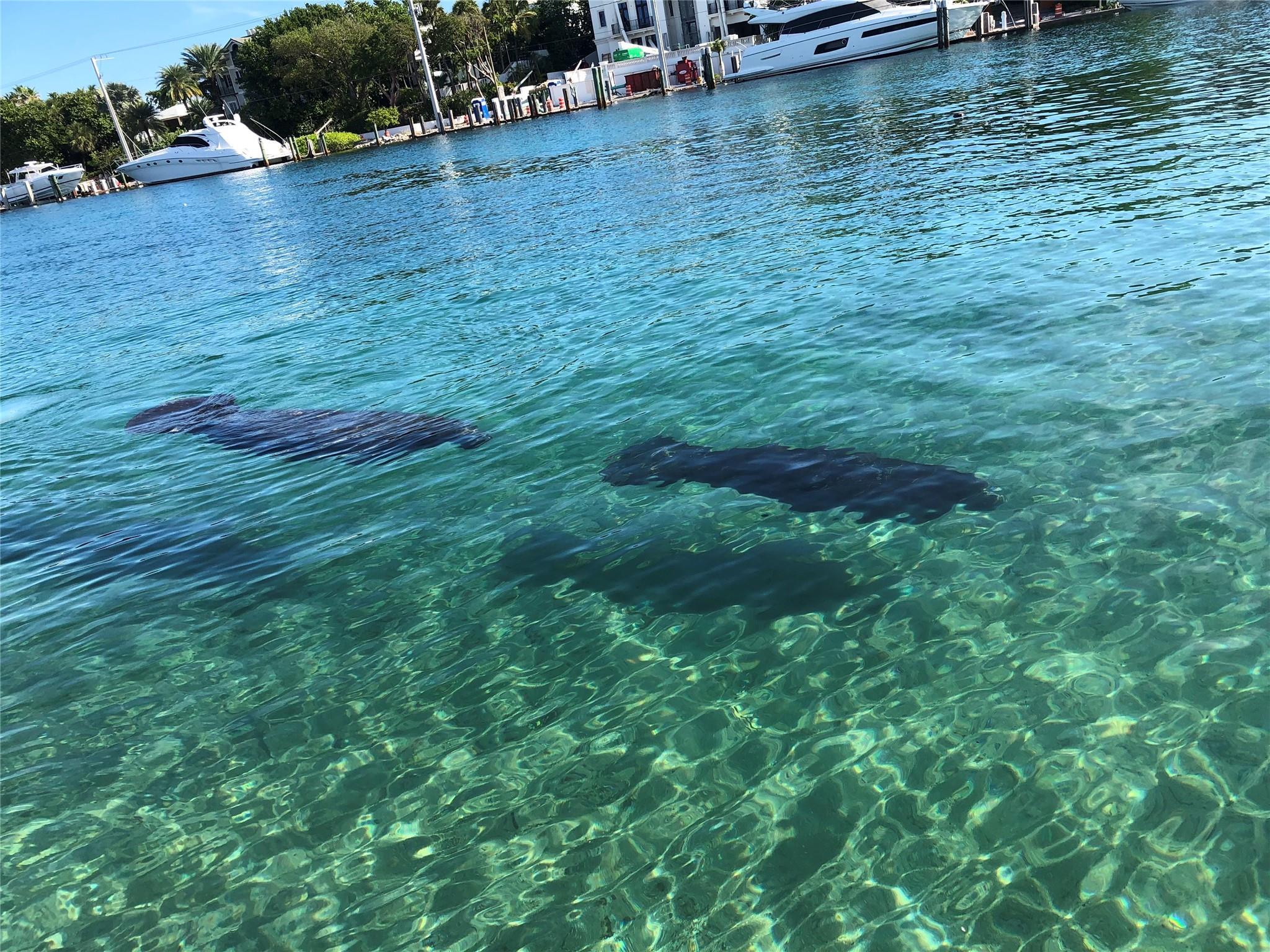 Caps Island - Residential