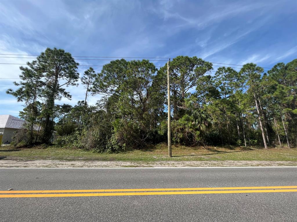 DONT MISS OUT ON THIS LOT IN THE DESIRABLE NORTHWEST PALM BAY WITH NO HOA No water bill either! Well & Septic lot. .23 acre parcel close to everything DESIRABLE NORTHWEST PALM BAY. THE VIBRANT MALABAR ROAD CORRIDOR IS A QUICK 5-MINUTE DRIVE, FEATURING A LONG LIST OF SHOPPING, RESTAURANTS, MEDICAL SERVICES, EVERYDAY CONVENIENCES, AND ACCESS TO I-95. 6 MINUTES TAKES YOU TO SUNNY WEST OAKS PARK WITH A PLAYGROUND, BASEBALL FIELDS, BASKETBALL COURTS, AND PAVILIONS. THE NEW ST. JOHN'S HERITAGE PKWY IS CLOSE BY, LEADING TO US-192 AND MELBOURNE. FRED POPPE REGIONAL PARK IS 7 MINUTES, PRESENTING A PLAYGROUND, PICNIC SPOTS, A COMMUNITY CENTER, SPORTS FIELDS, AND PET AREA. THE LOCAL ELEMENTARY AND HIGH SCHOOLS ARE EACH AN 8 AND 9-MINUTE COMMUTE. CENTRAL MIDDLE SCHOOL IS 15 MINUTES.