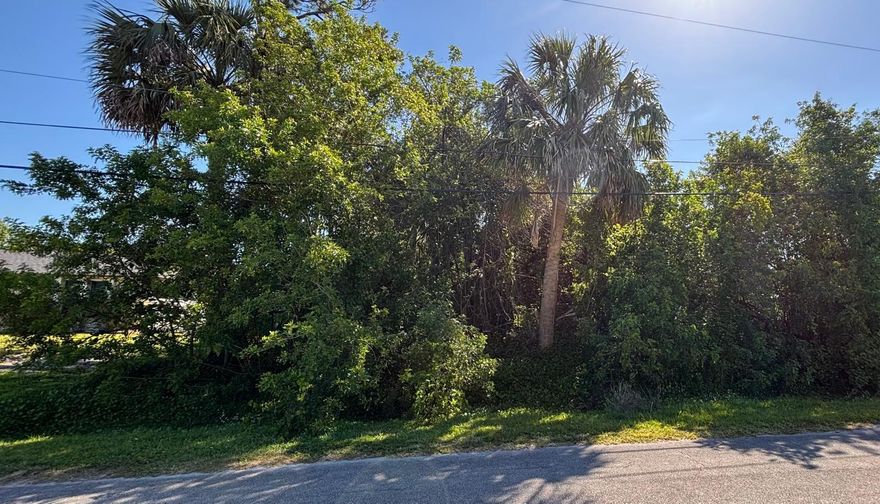 ''Open the Doors to your Dreams'' of building your Treasure Coast home on one of the few remaining available lots in Indian River Estates. Within walking distance from hiking trails in Savannas Preserve State Park and the Indian River Lagoon. Great location at a great price! Stop by to see it today.