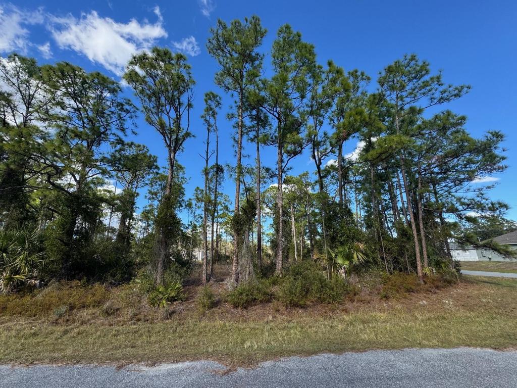 PORT CHARLOTTE SUB 28 - Land