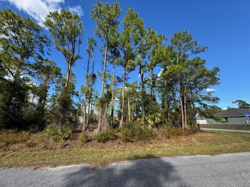 PORT CHARLOTTE SUB 28 - Land