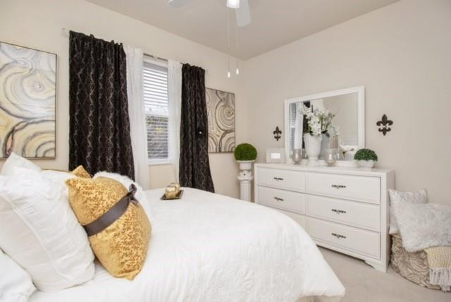 Paloma Lakes - Residential