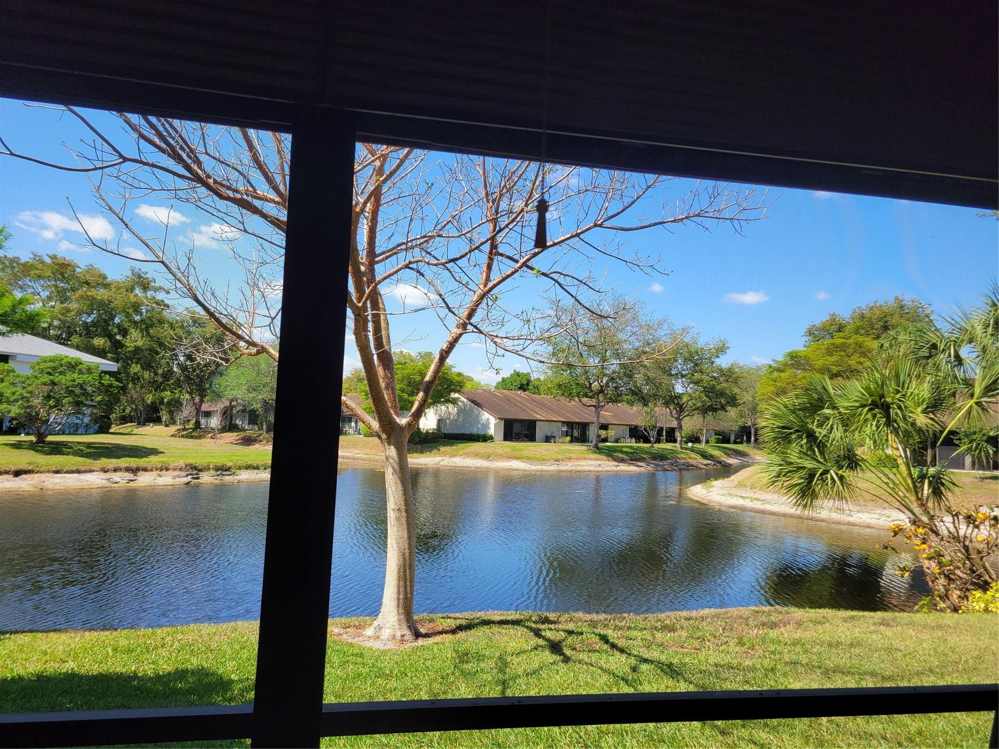 4313 Carambola Cir S 2673