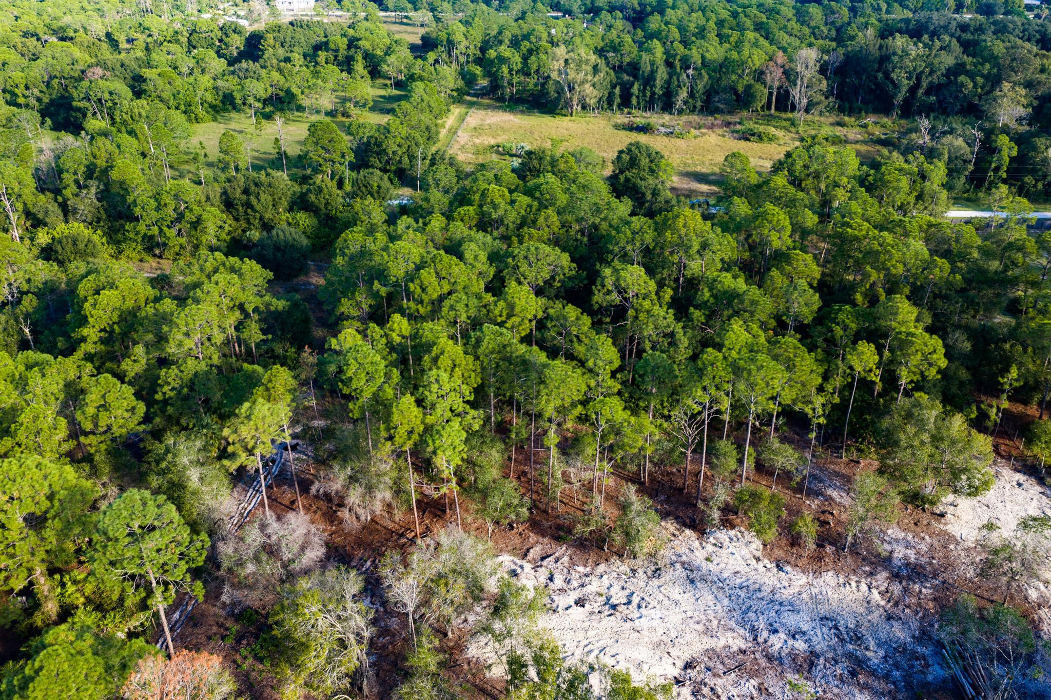 PIONEER PLANT UNREC SEC 3 - Land