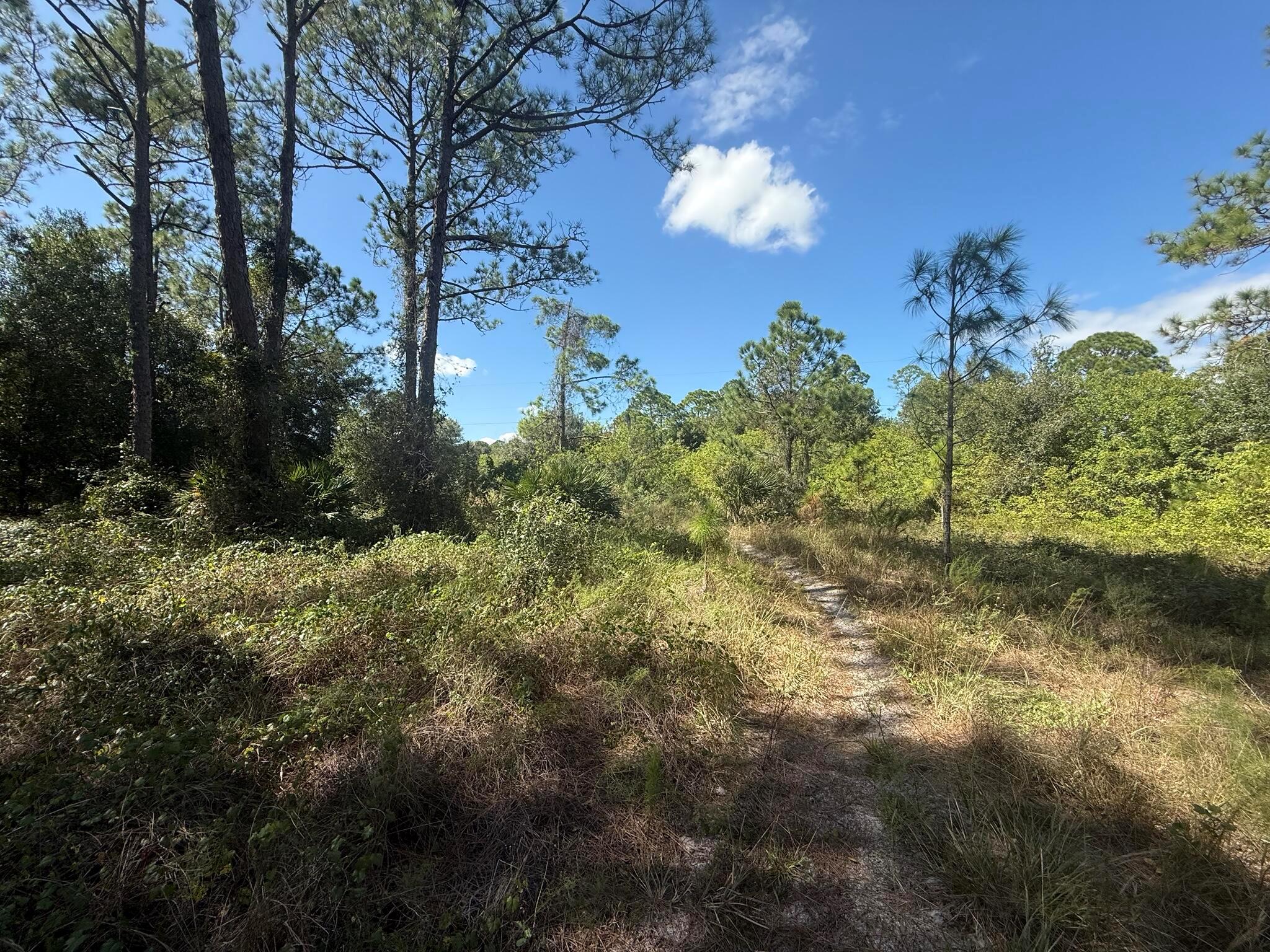 PIONEER PLANT UNREC SEC 3 - Land