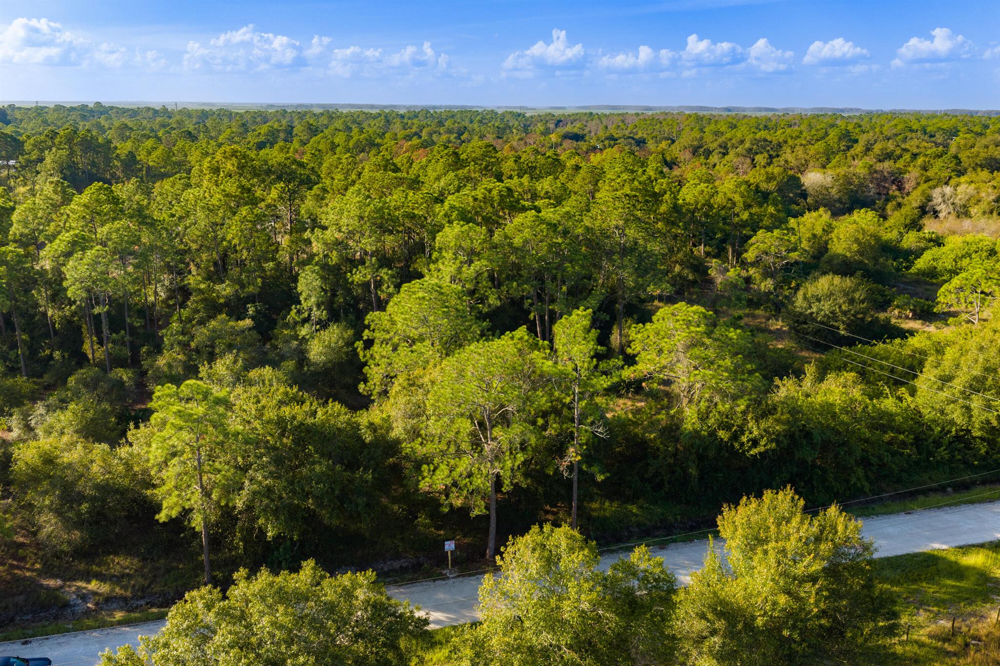 PIONEER PLANT UNREC SEC 3 - Land