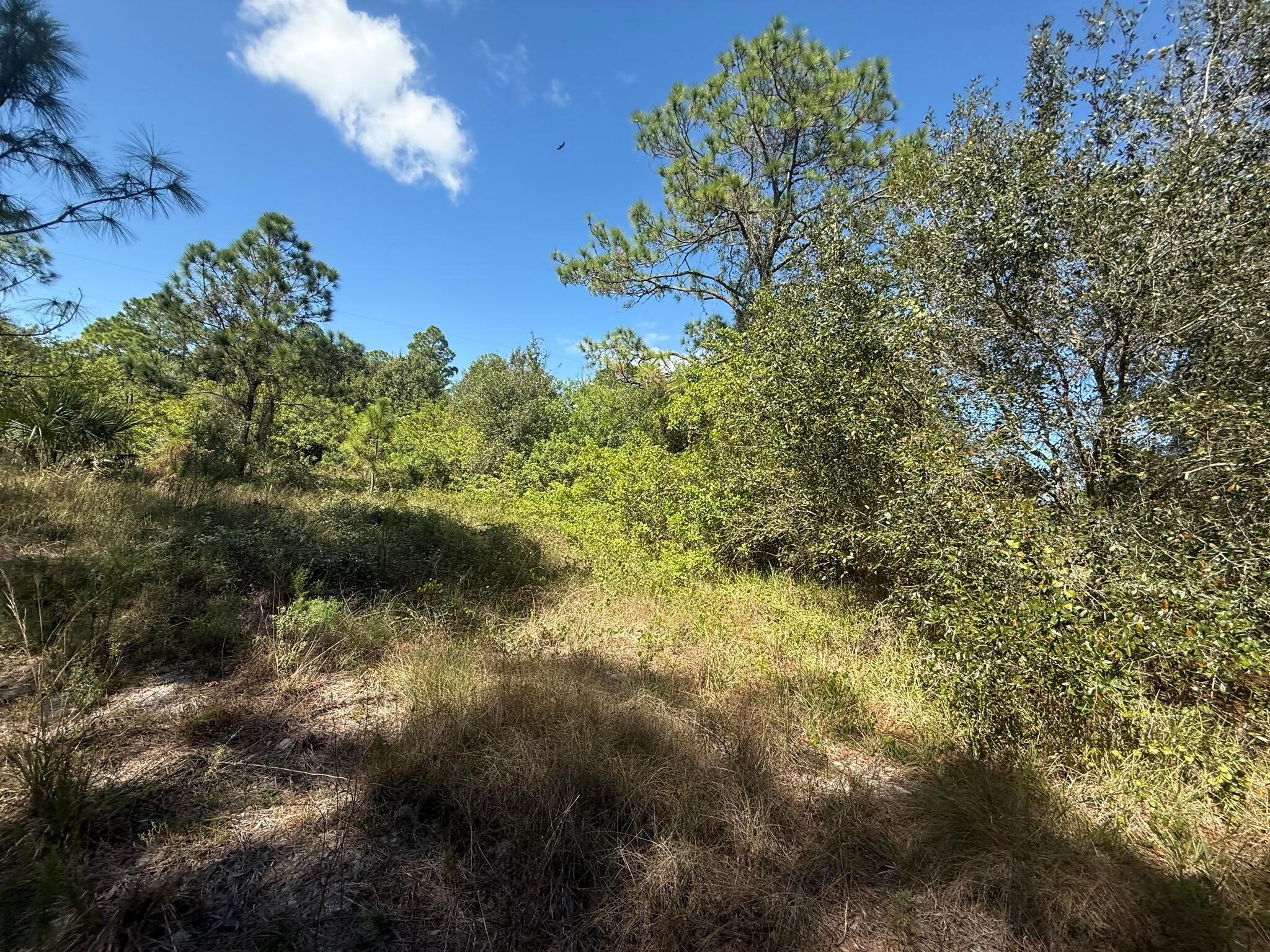 PIONEER PLANT UNREC SEC 3 - Land