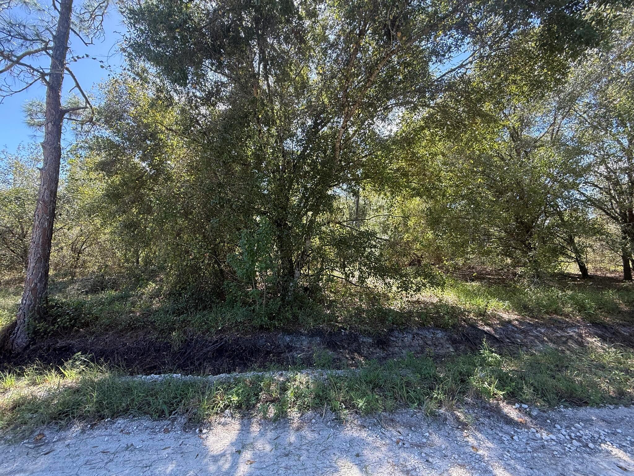 PIONEER PLANT UNREC SEC 3 - Land