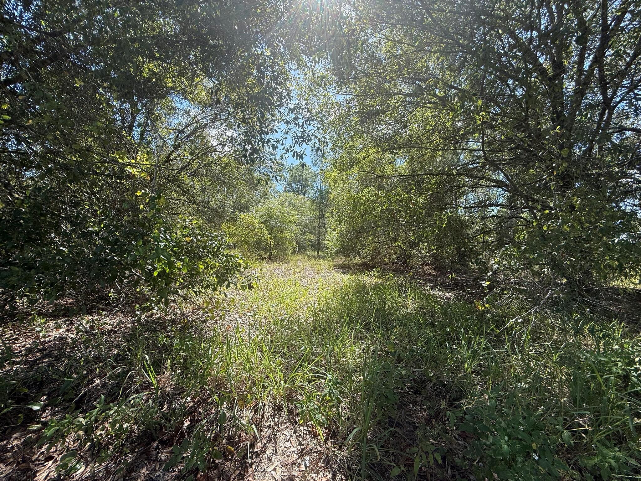 PIONEER PLANT UNREC SEC 3 - Land