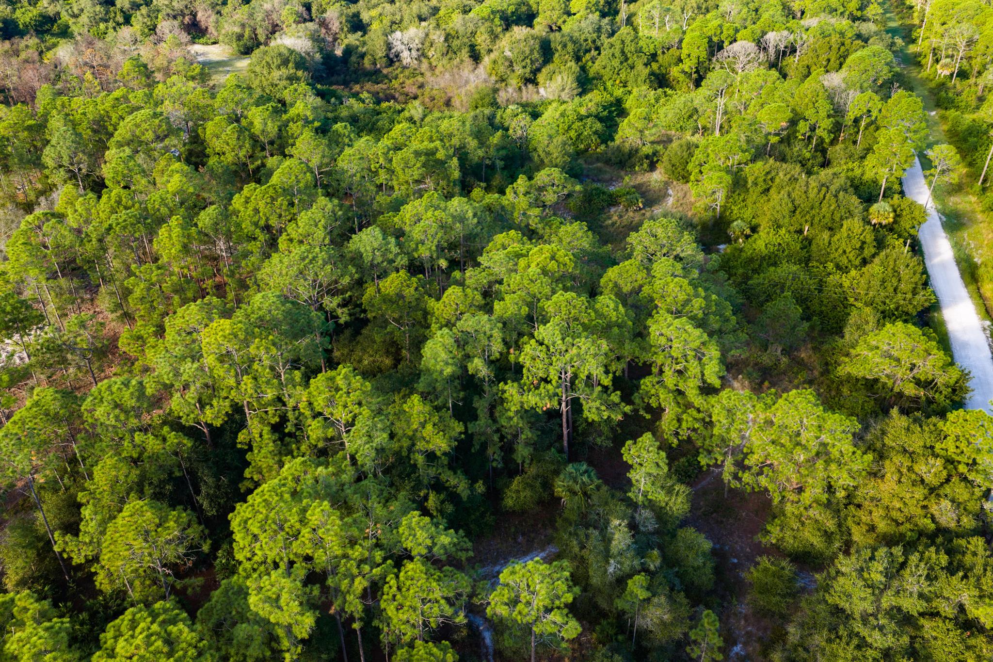 PIONEER PLANT UNREC SEC 3 - Land