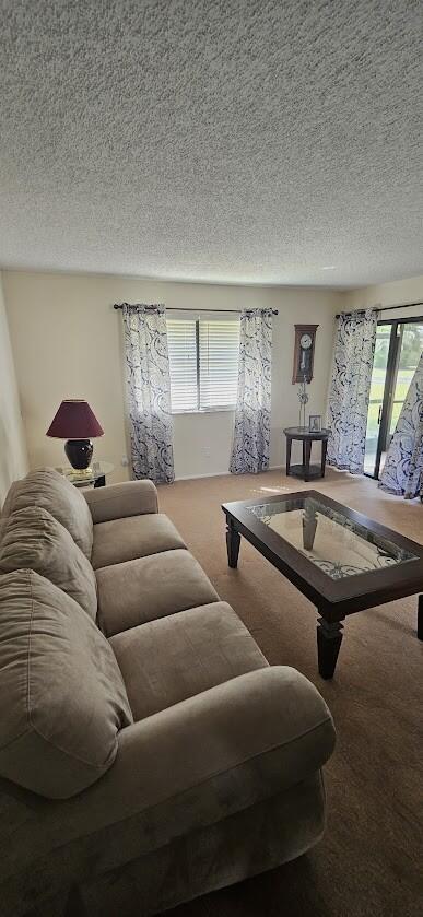 163 Pinto Palm Court 02