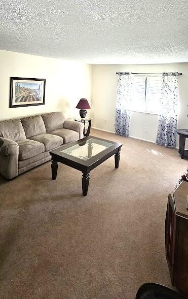 163 Pinto Palm Court 02