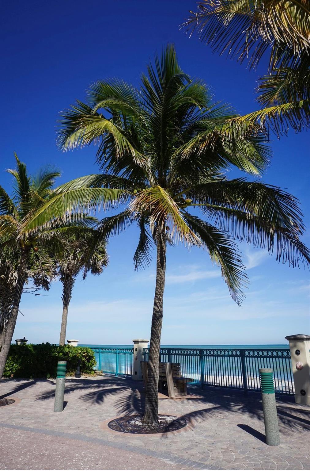 PINEWOOD ESTATES - Residential Lease