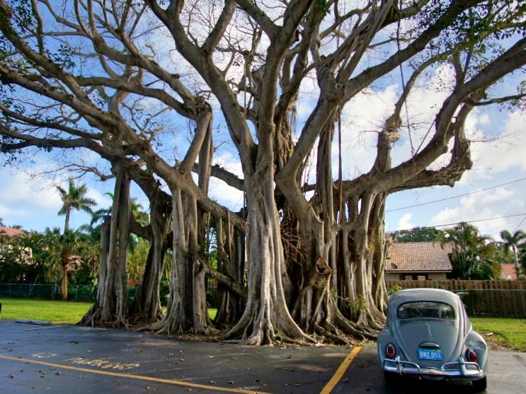 PALM LAKE 1 CONDO - Residential