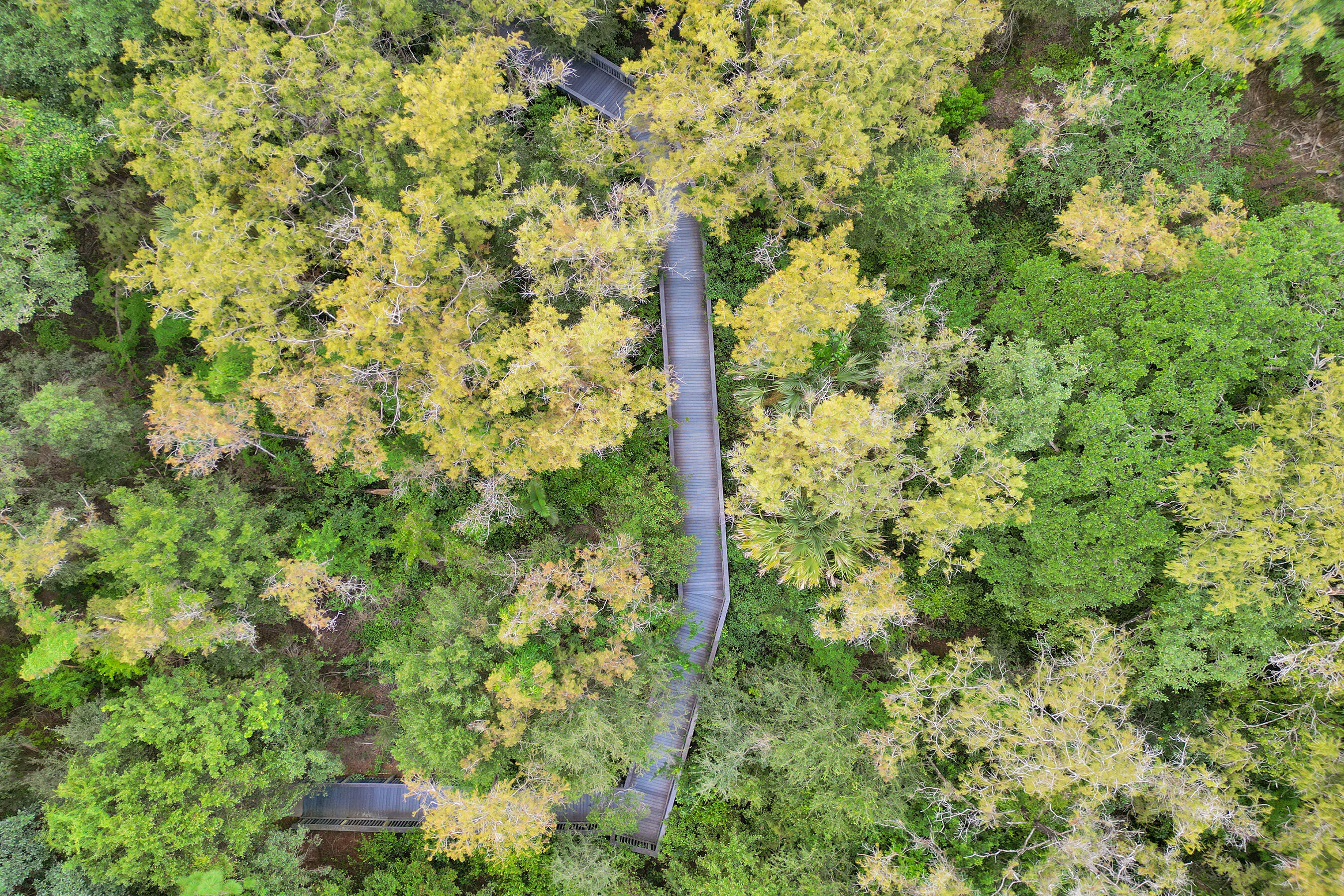 BONAIRE VILLAGE AT WOODMONT - Residential