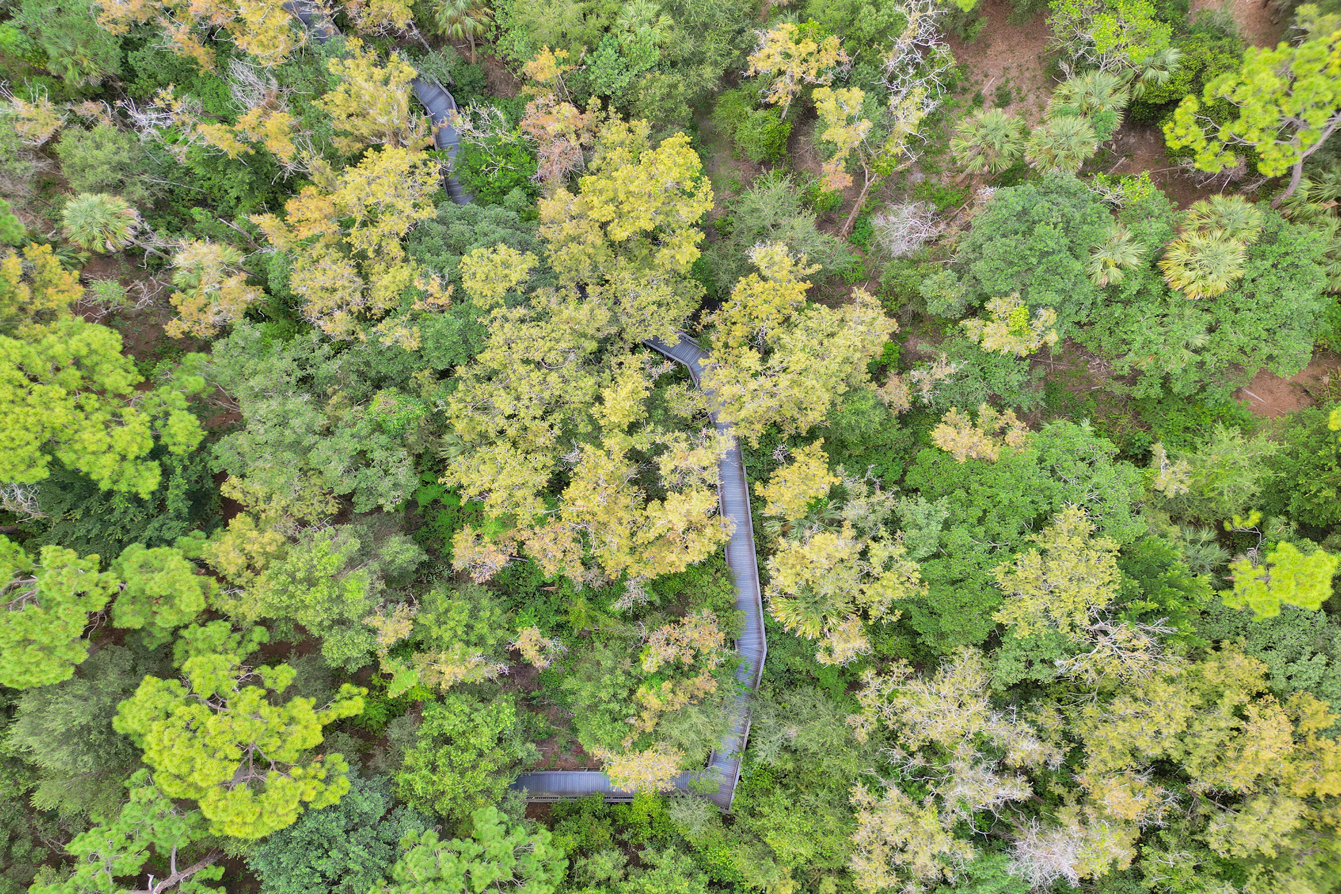 BONAIRE VILLAGE AT WOODMONT - Residential