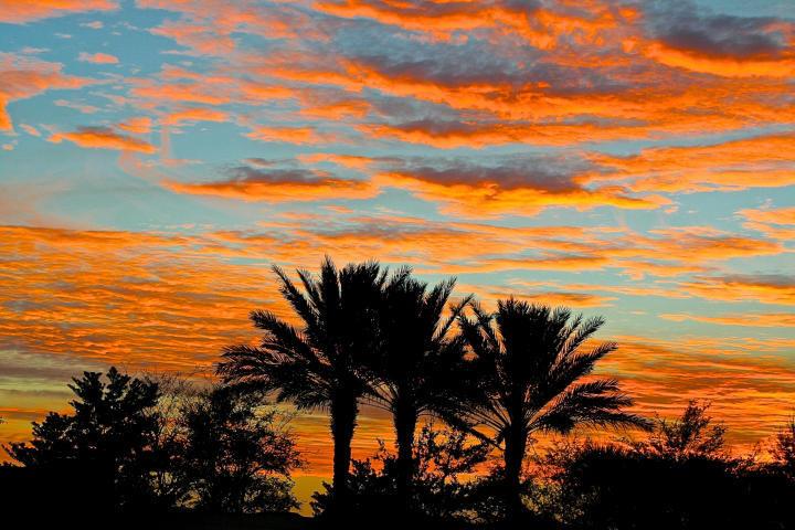 TRADITION PLAT NO 35 - Residential