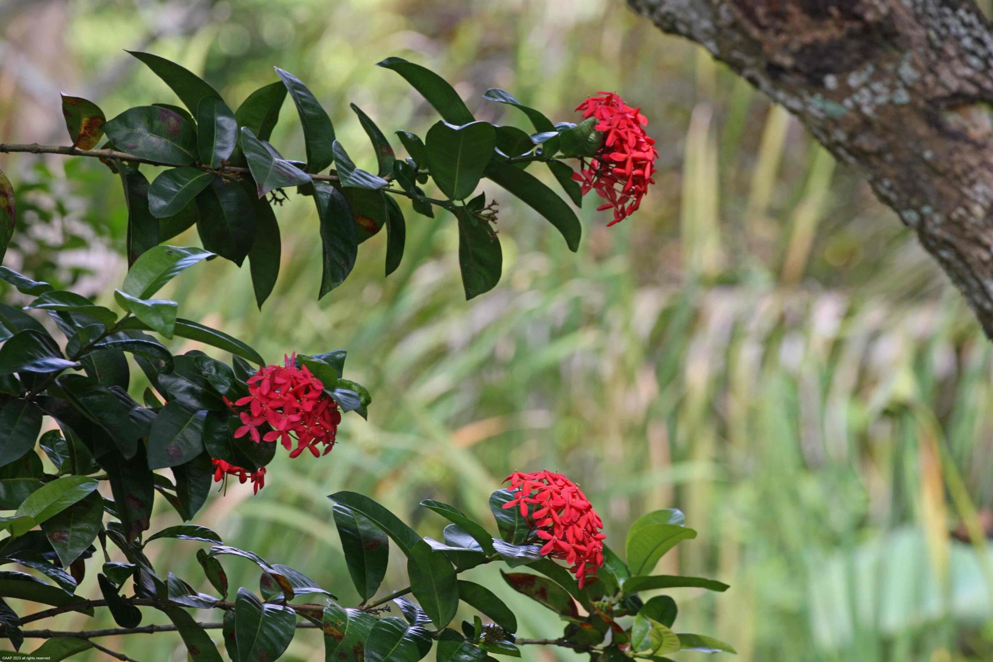 13-44-40~ W 344.38 FT OF - Residential