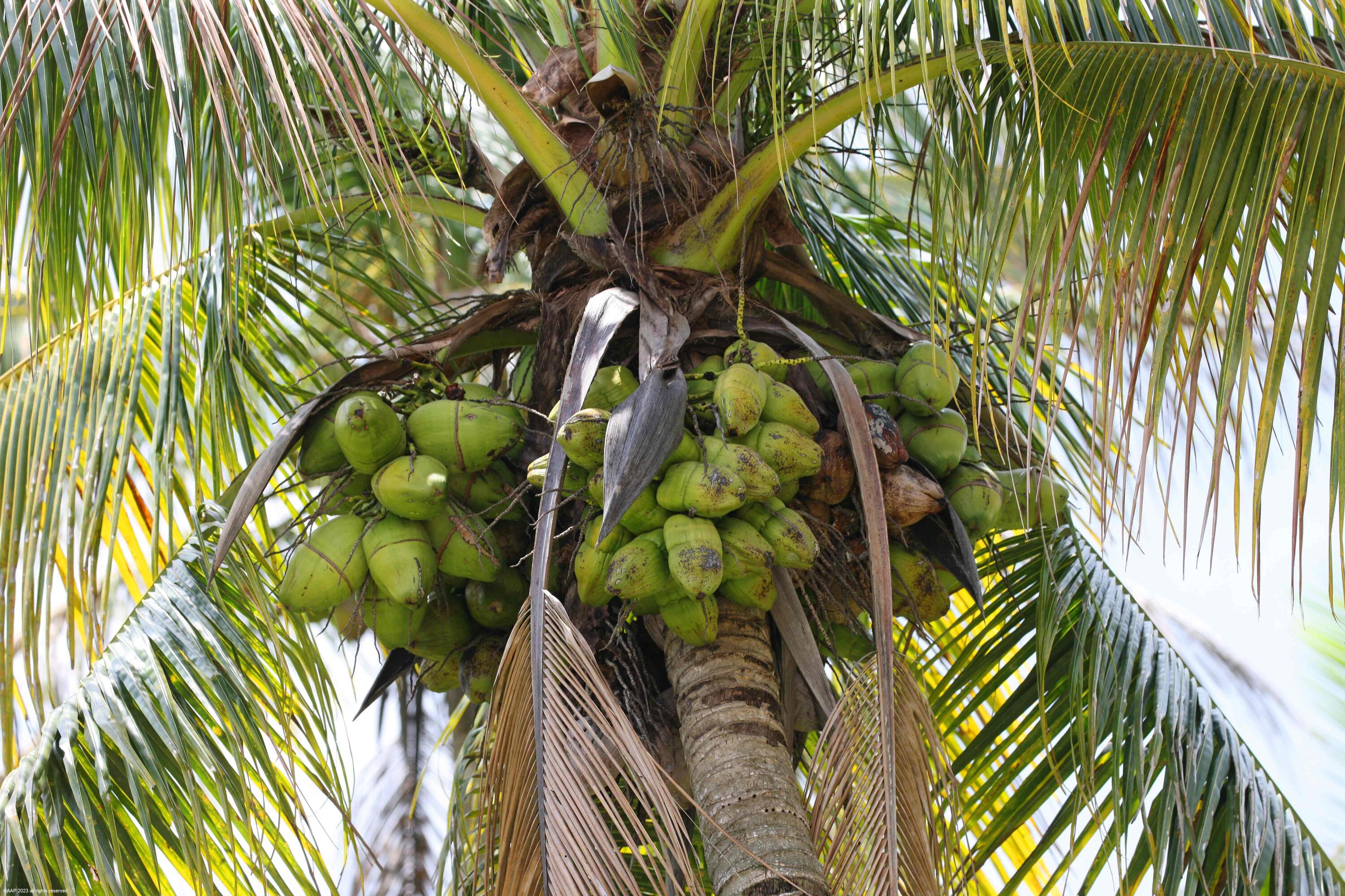 13-44-40~ W 344.38 FT OF E  2981.05 FT OF N 697.03 - Residential