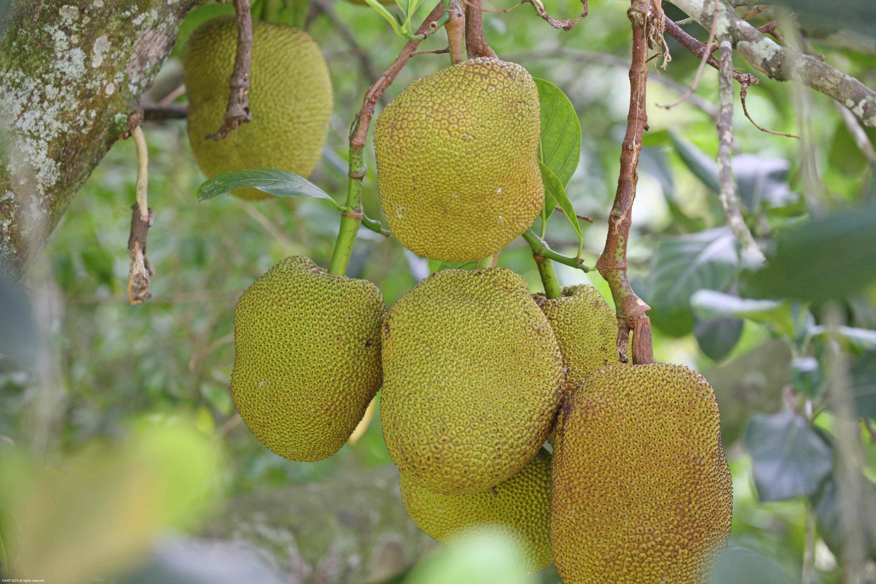 13-44-40~ W 344.38 FT OF E  2981.05 FT OF N 697.03 - Residential