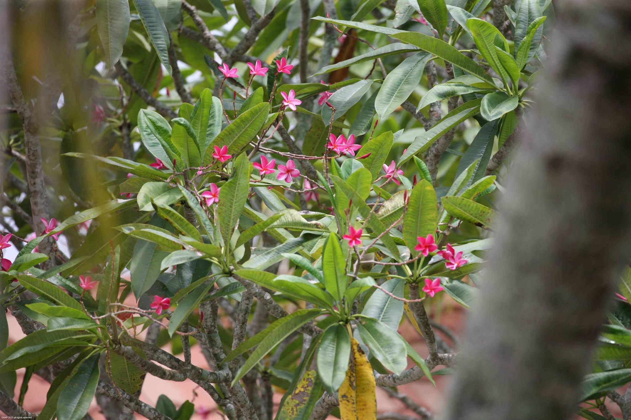 13-44-40~ W 344.38 FT OF - Residential