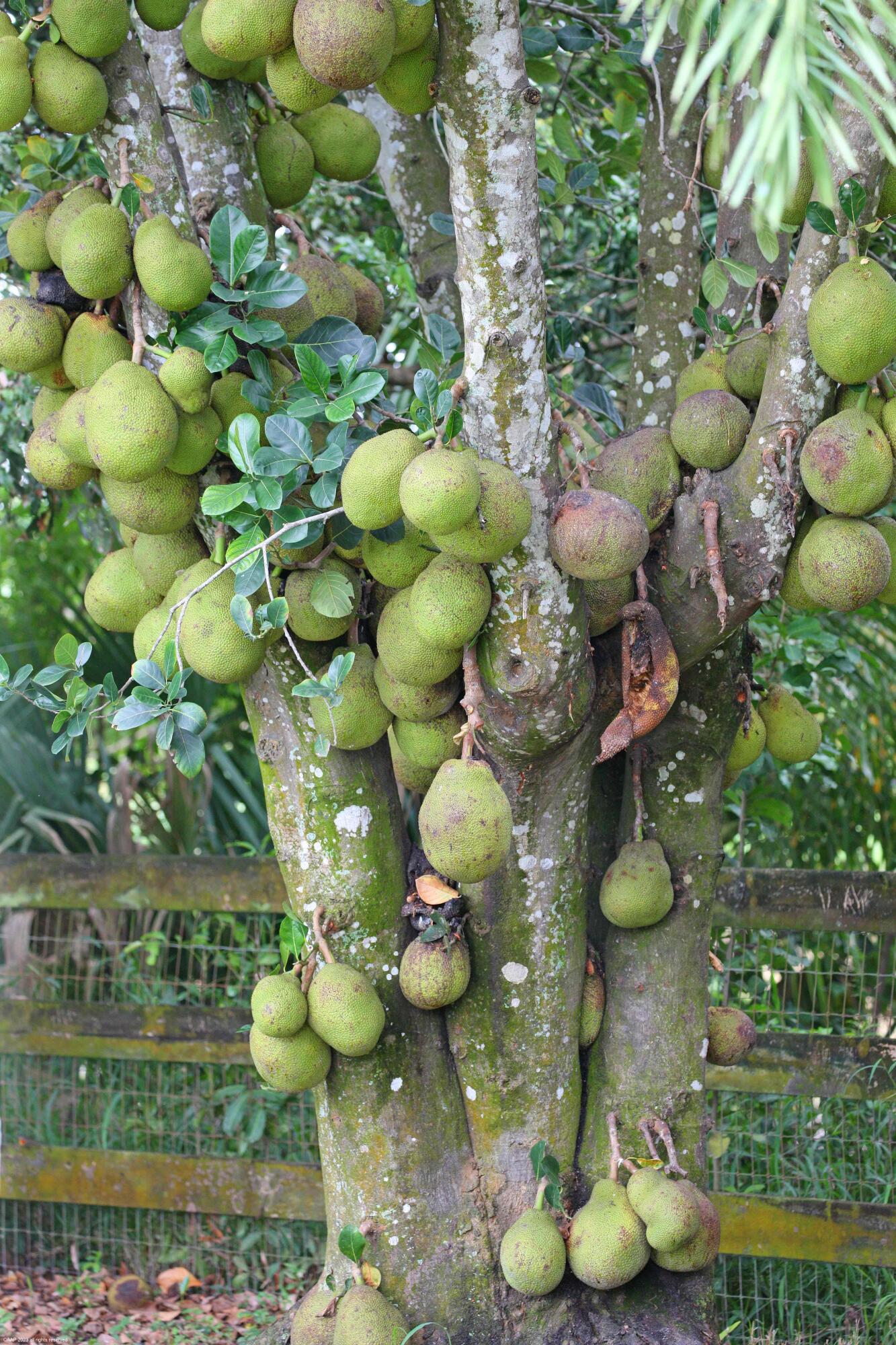 13-44-40~ W 344.38 FT OF E  2981.05 FT OF N 697.03 - Residential