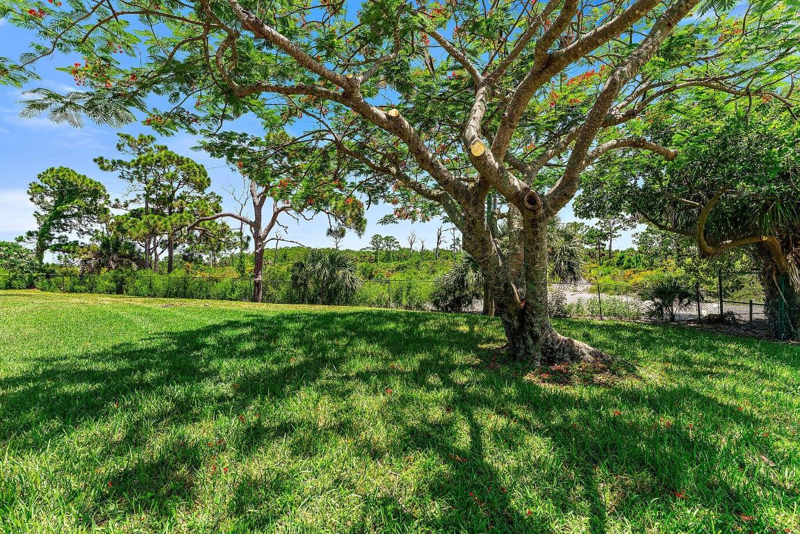 LAKES AT THE BLUFFS - Residential Lease