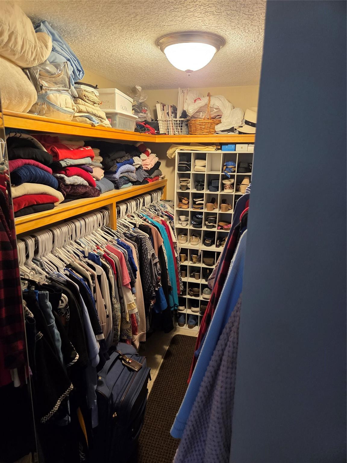 Sabal Palm - Residential