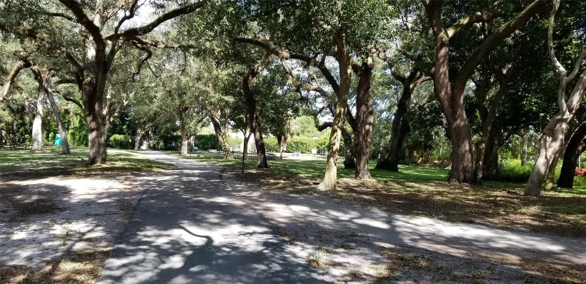 Sabal Palm - Residential