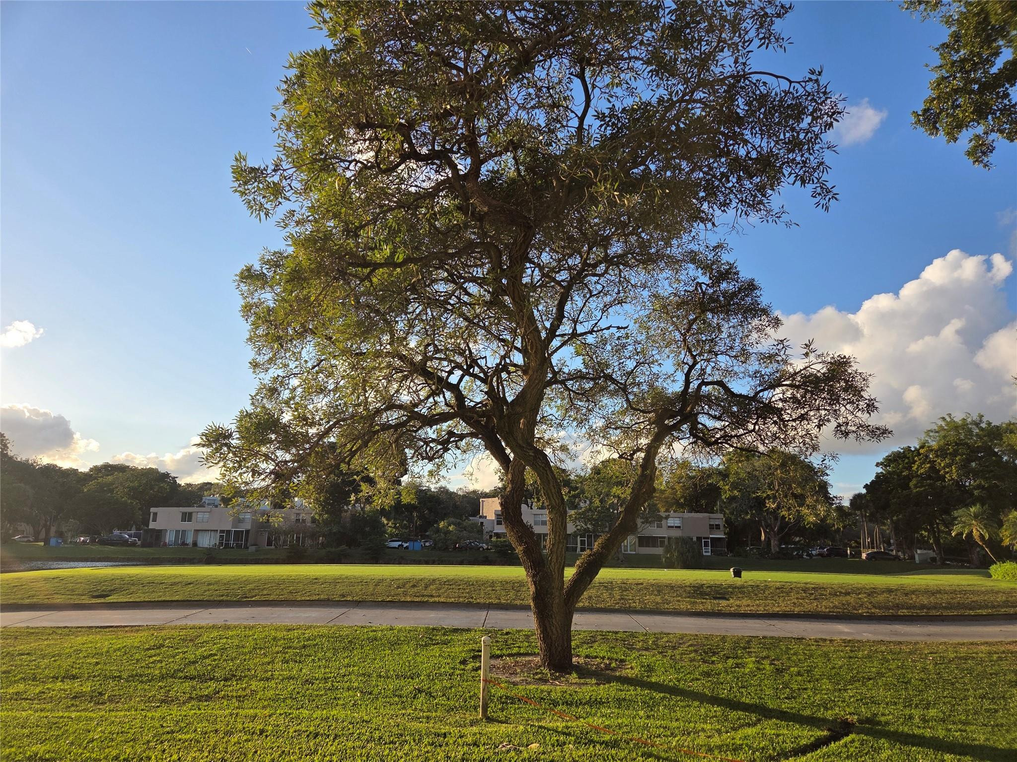 Sabal Palm - Residential