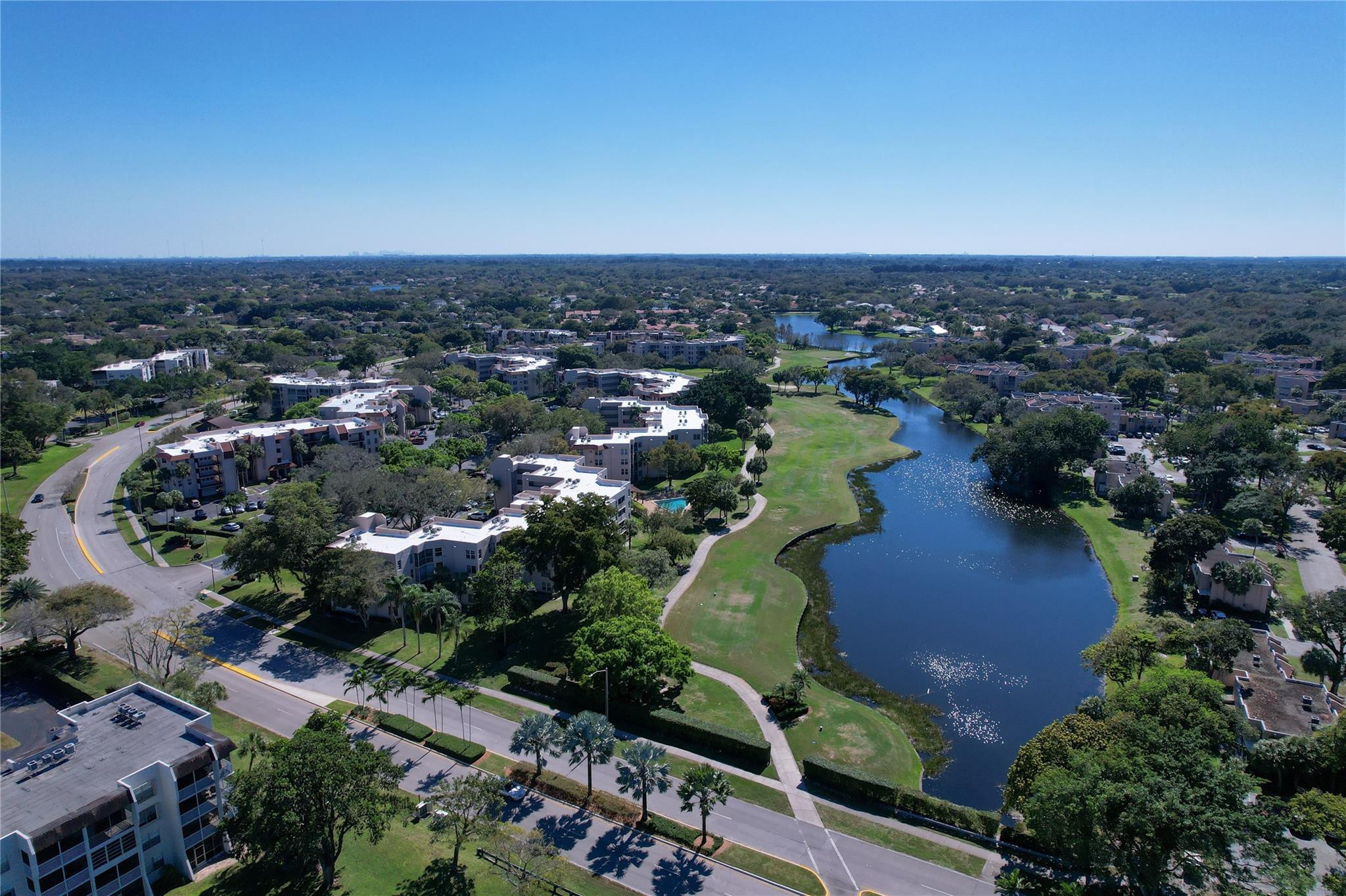 Sabal Palm - Residential