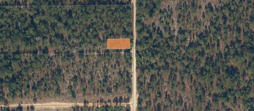Owner finance available with $1,500 down! Multi-Lot Packages Available! R-1A Zoning - Site-Built Homes Only! 0.22-acre lot in College Park, Interlachen. Peaceful setting near lakes and parks with easy access to Palatka, Gainesville, and St. Augustine. No HOA, low taxes, and great potential for your future home or investment.