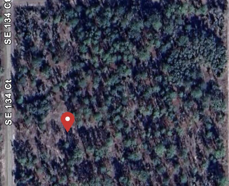 Discover a prime 1-acre lot in the serene Rainbow Lakes Estates of Dunnellon, Florida. This spacious parcel, measuring approximately 309.94 feet by 140.52 feet, offers ample room to design your dream home. Nestled amidst natural beauty, the property provides a tranquil setting while maintaining proximity to local amenities. Enjoy the community's peaceful lakes and recreational opportunities, all without the constraints of an HOA. Whether you're envisioning a custom-built residence or a serene retreat, this lot presents an ideal canvas for your aspirations.