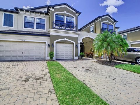 A home in Wesley Chapel