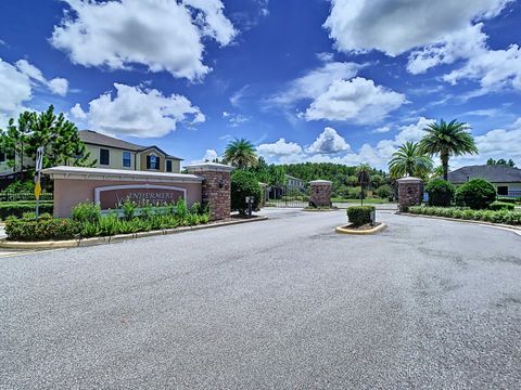 A home in Wesley Chapel