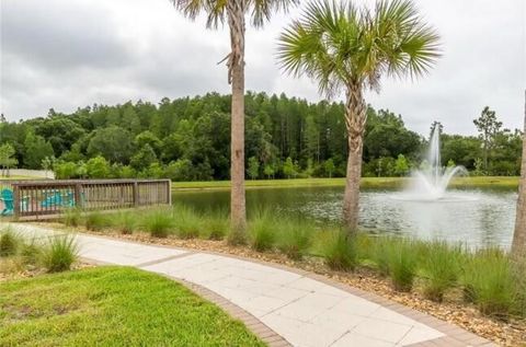 A home in Wesley Chapel