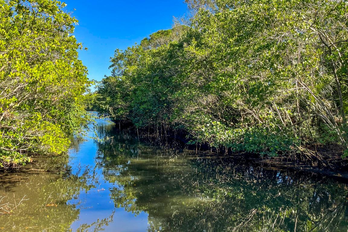 Shores Pointe - Residential