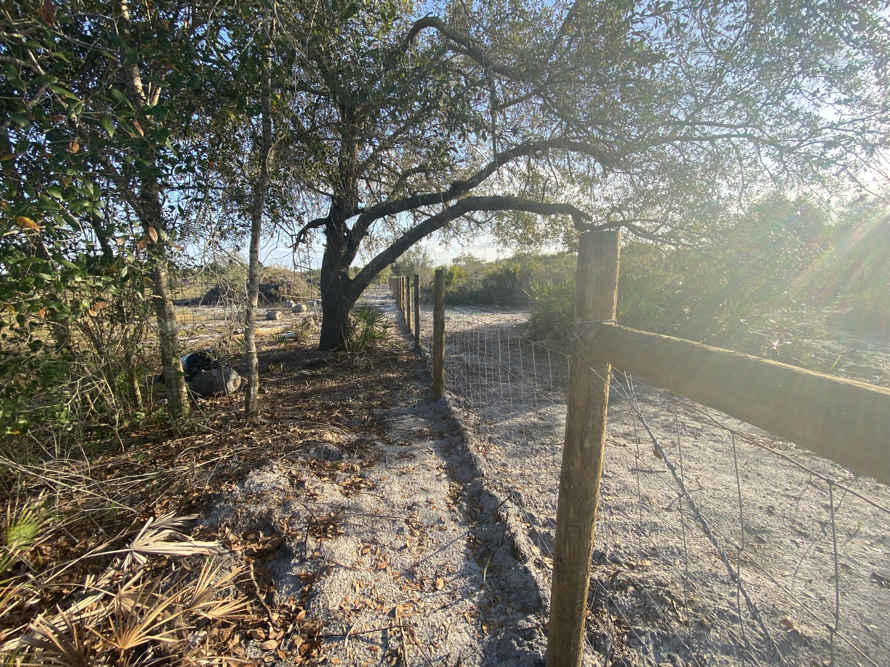 Build or bring your dream home and barn on this beautiful and private high and dry 1.25 acre not far from the main paved road partially fenced and cleared with a culvert pipe already in place with Power poles on this block. there is so much to enjoy in Okeechobee County. Come to The Kissimmee River Preserve State Park West of this area as well is the Kissimmee River. The Kissimmee River flows into Lake Okeechobee and is well known for some of the best fishing. whether you like Fishing, hunting, mudding agriculture or just privacy here you have it all.