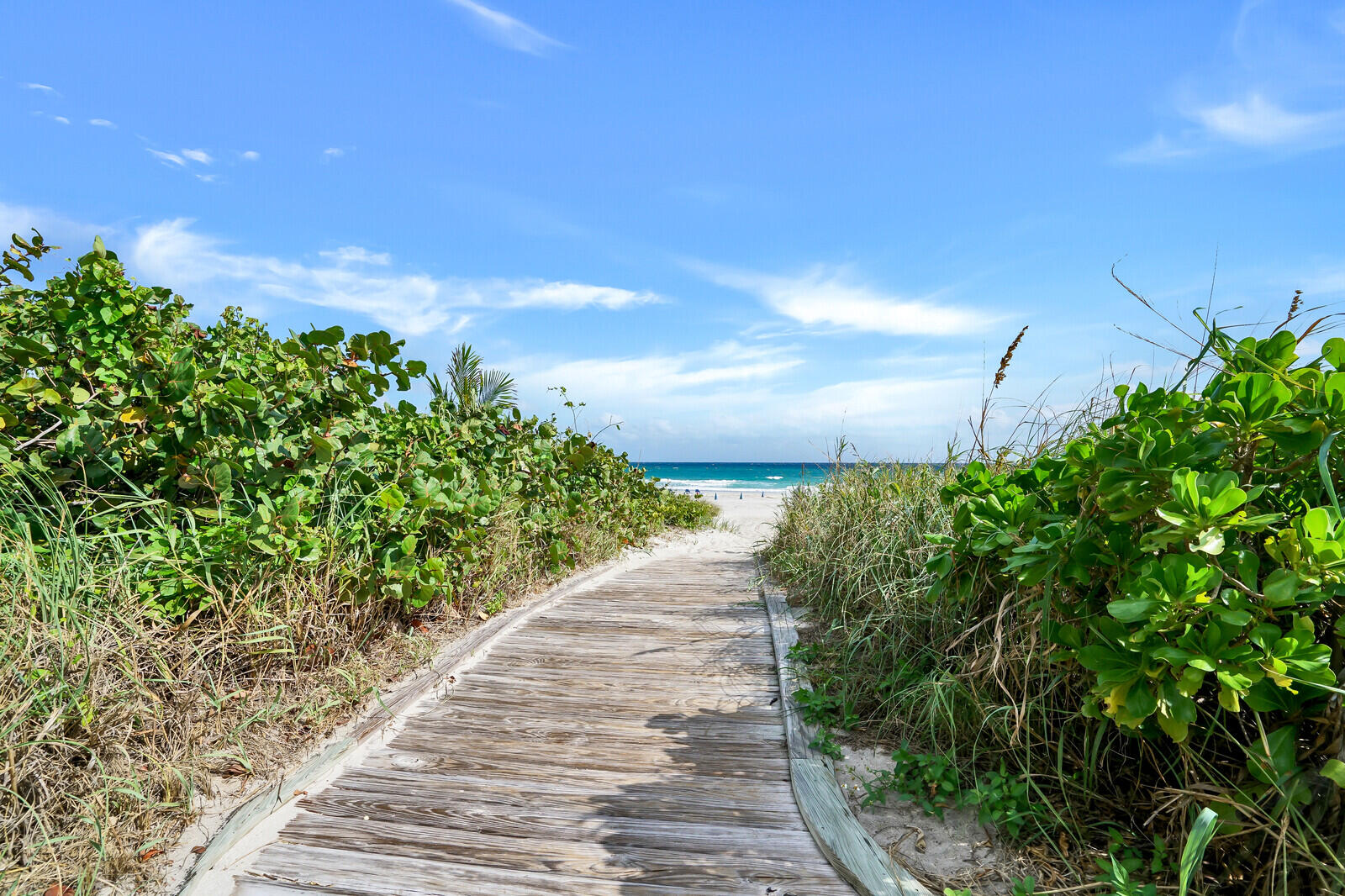 VISTABLUE SINGER ISLAND CONDO - Residential