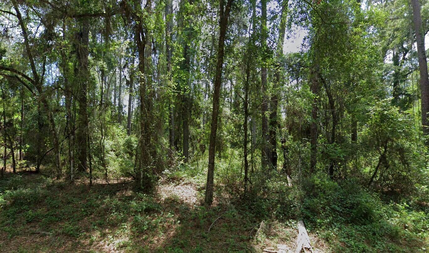 Discover the perfect opportunity to build your dream home on this beautiful 0.23-acre homesite located in the growing community of Citrus Springs, FL! Nestled in a quiet, well-maintained neighborhood, this vacant lot offers a peaceful setting with no HOA fees and no time limit to build. Power near the street, and paved roads for easy convenience. Citrus Springs is a highly desirable area known for its natural beauty, golf courses, and outdoor recreation--including the Withlacoochee State Trail, rivers, pristine natural springs, and parks. You're just minutes from shopping, dining, medical facilities, and top-rated schools. Even a short distance from the west coast to enjoy beath-taking beaches and sunsets. Whether you're looking to build now or invest for the future, this is an excellent