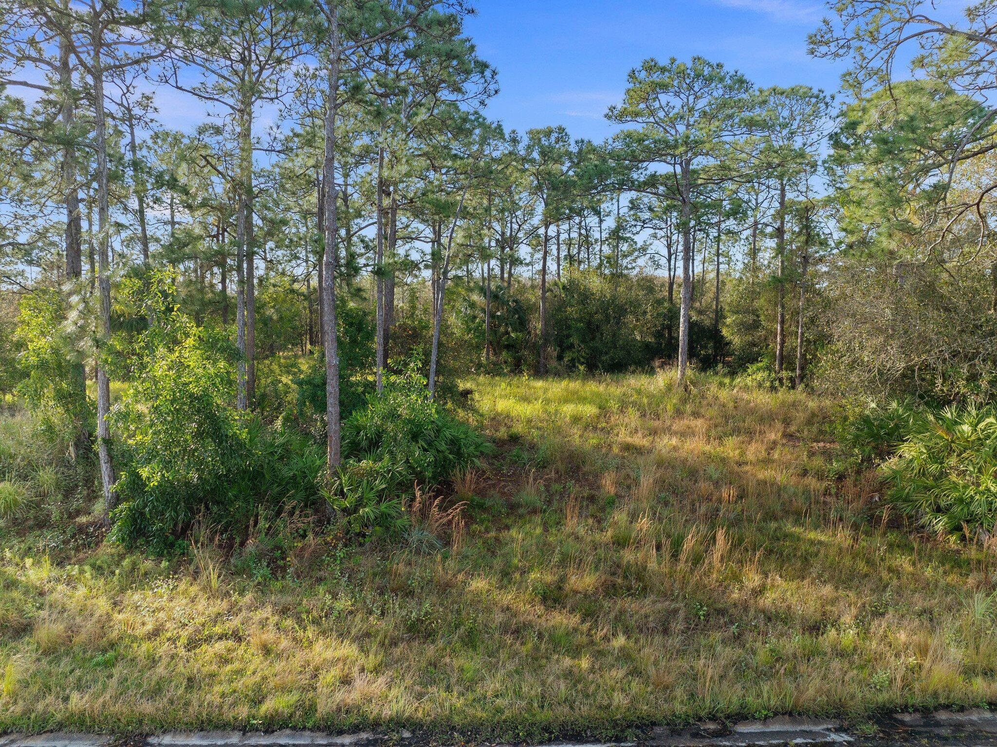10649 Lighter Wood Lane, Fort Pierce, FL, 34945/$199,500 3 10649 Lighter Wood Lane