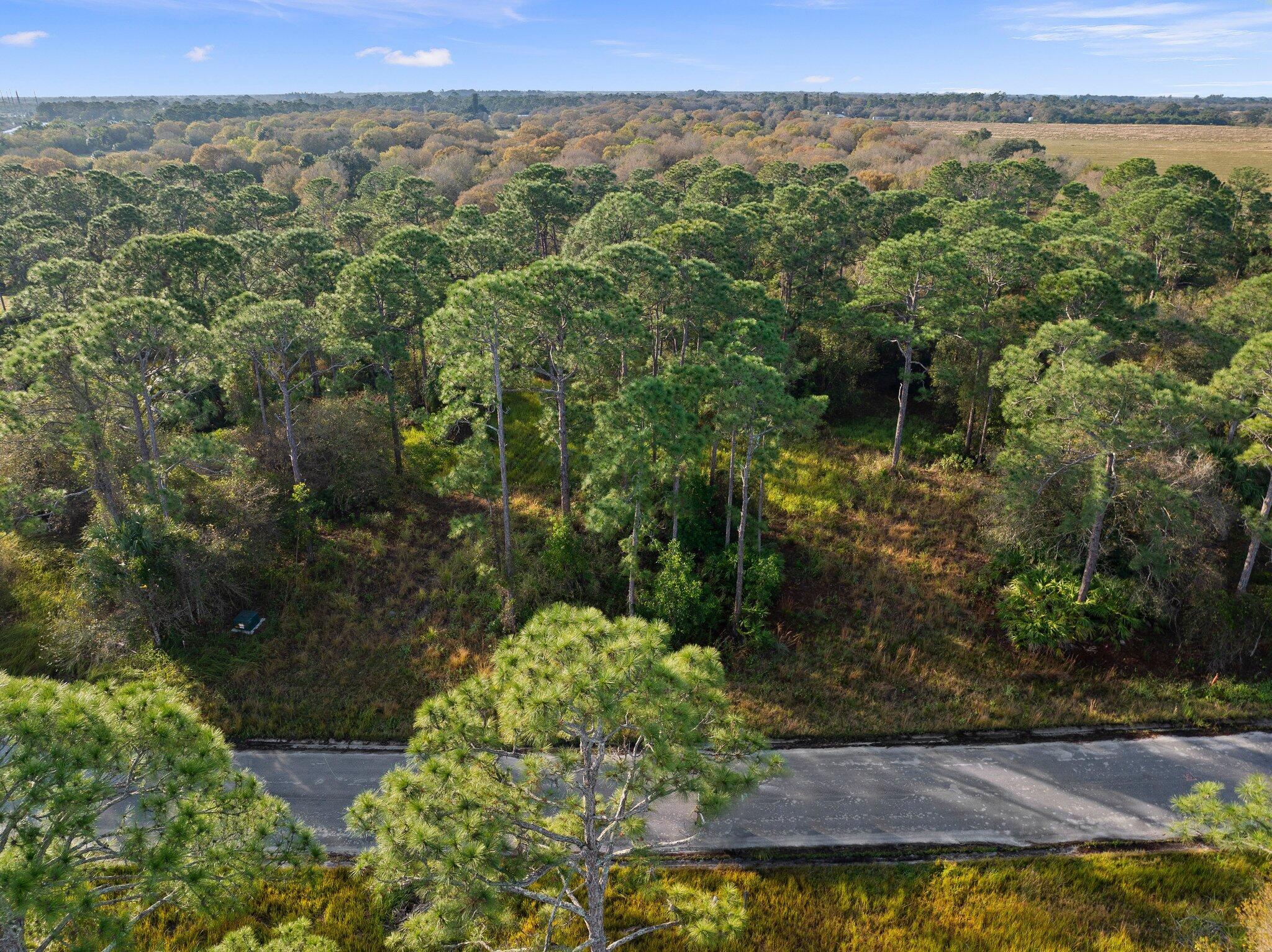 10649 Lighter Wood Lane, Fort Pierce, FL, 34945/$199,500 4 10649 Lighter Wood Lane